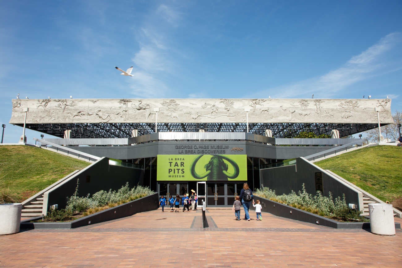 La Brea Tar Pits The Story of an LA Icon Discover Los Angeles